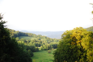 DSC_3965